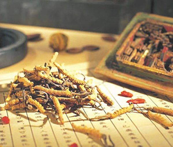 Tibetan medicine